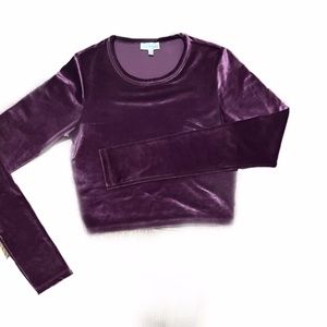Aritzia - Wilfred Free Velvet Long Sleeve Crop Top